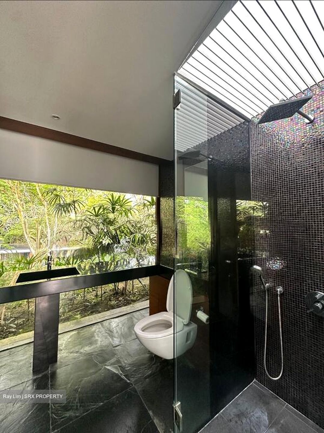 Nassim Road (D10), Detached #498149611